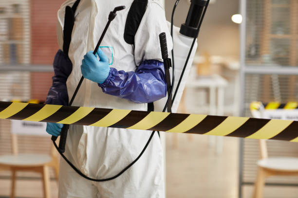 Professional Sewage Cleanup technician working in Freeland, WA